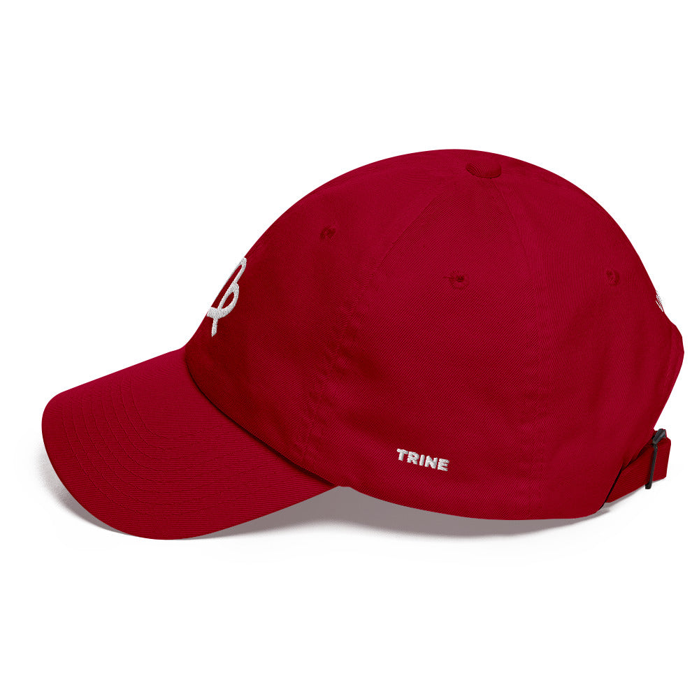 Virgo FW23 Dad hat