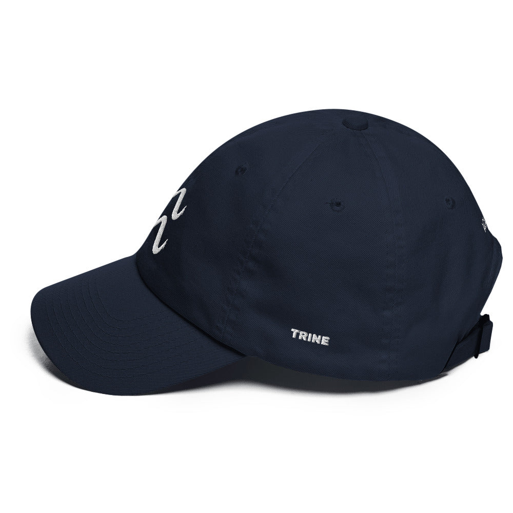 Aquarius FW23 Dad hat