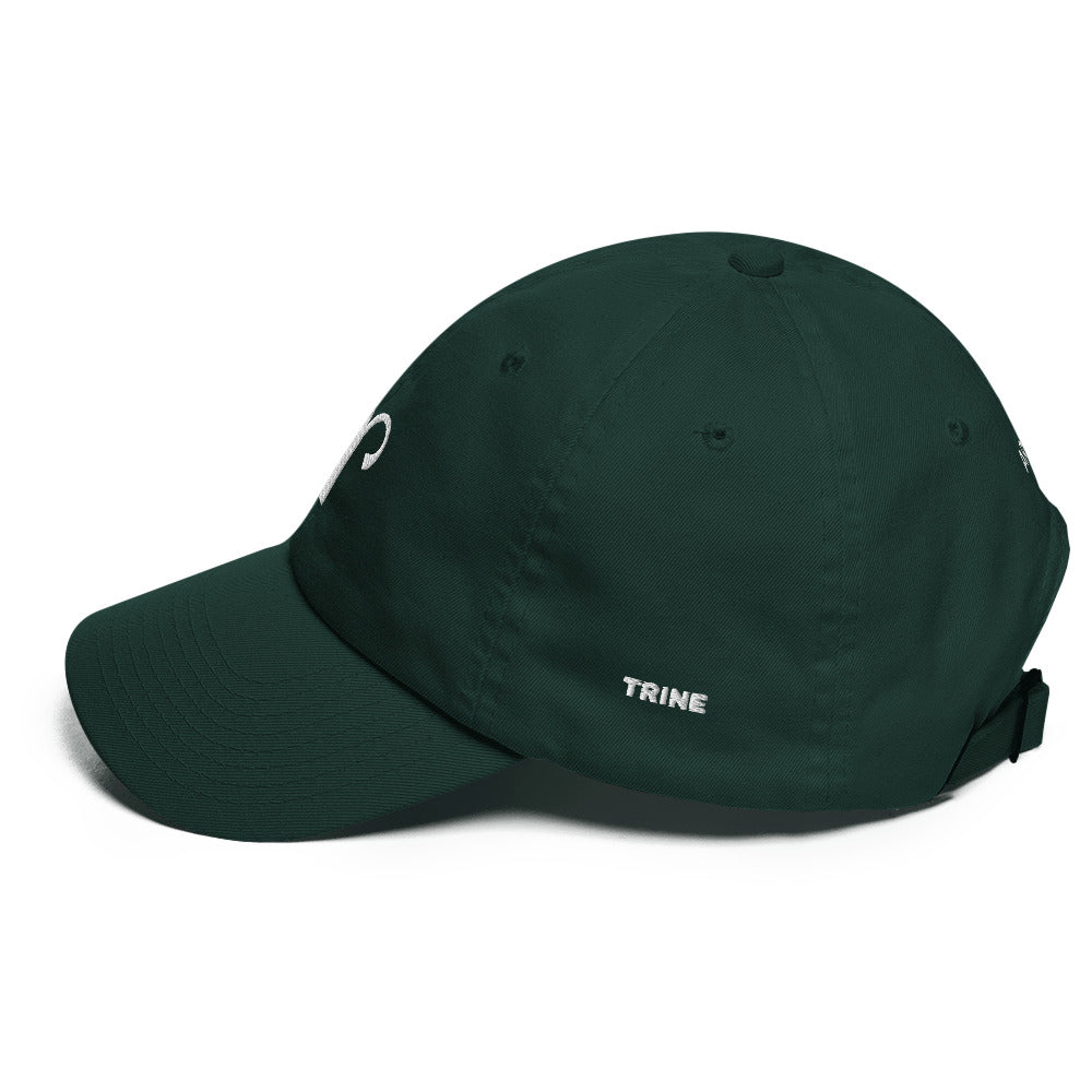 Aries FW23 Dad hat