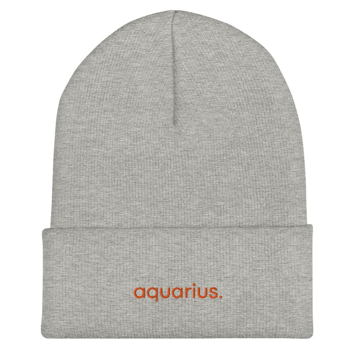 Aquarius Cuffed Beanie