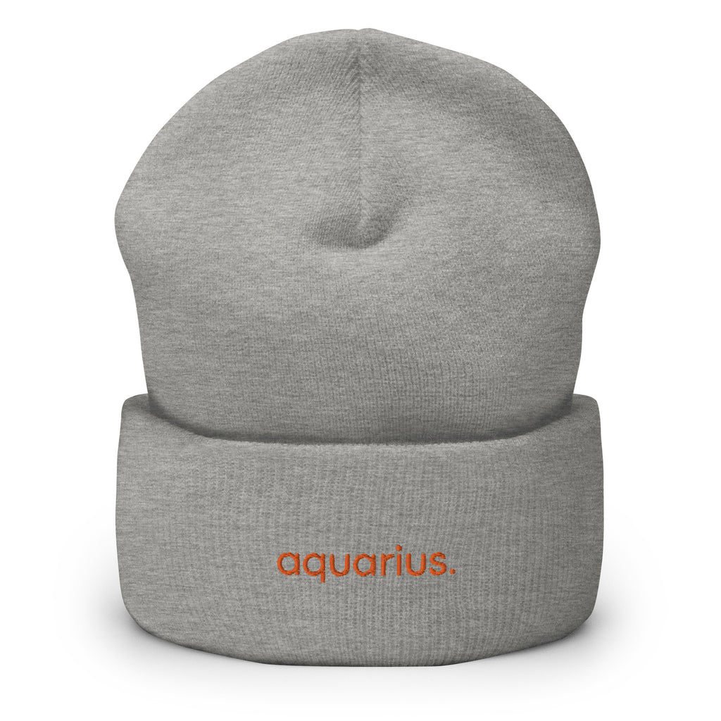 Aquarius Cuffed Beanie