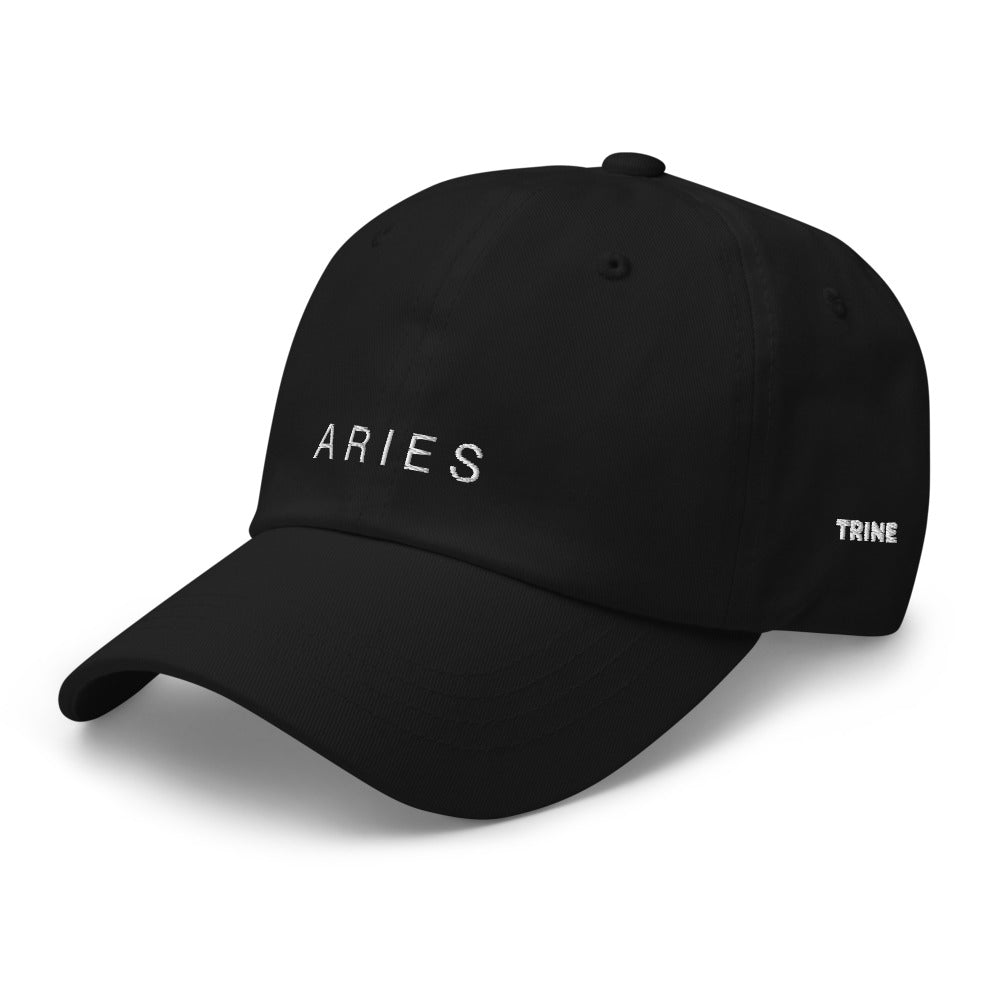ARIES DAD HAT